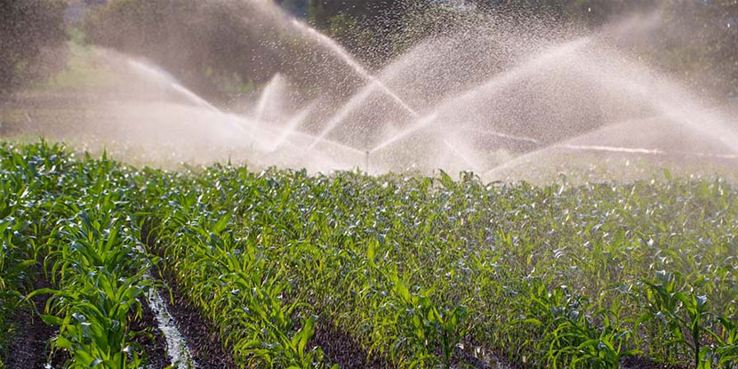 Irrigation & Drainage