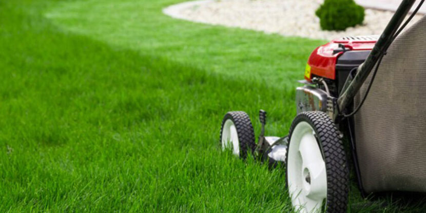 Lawn & Garden Care